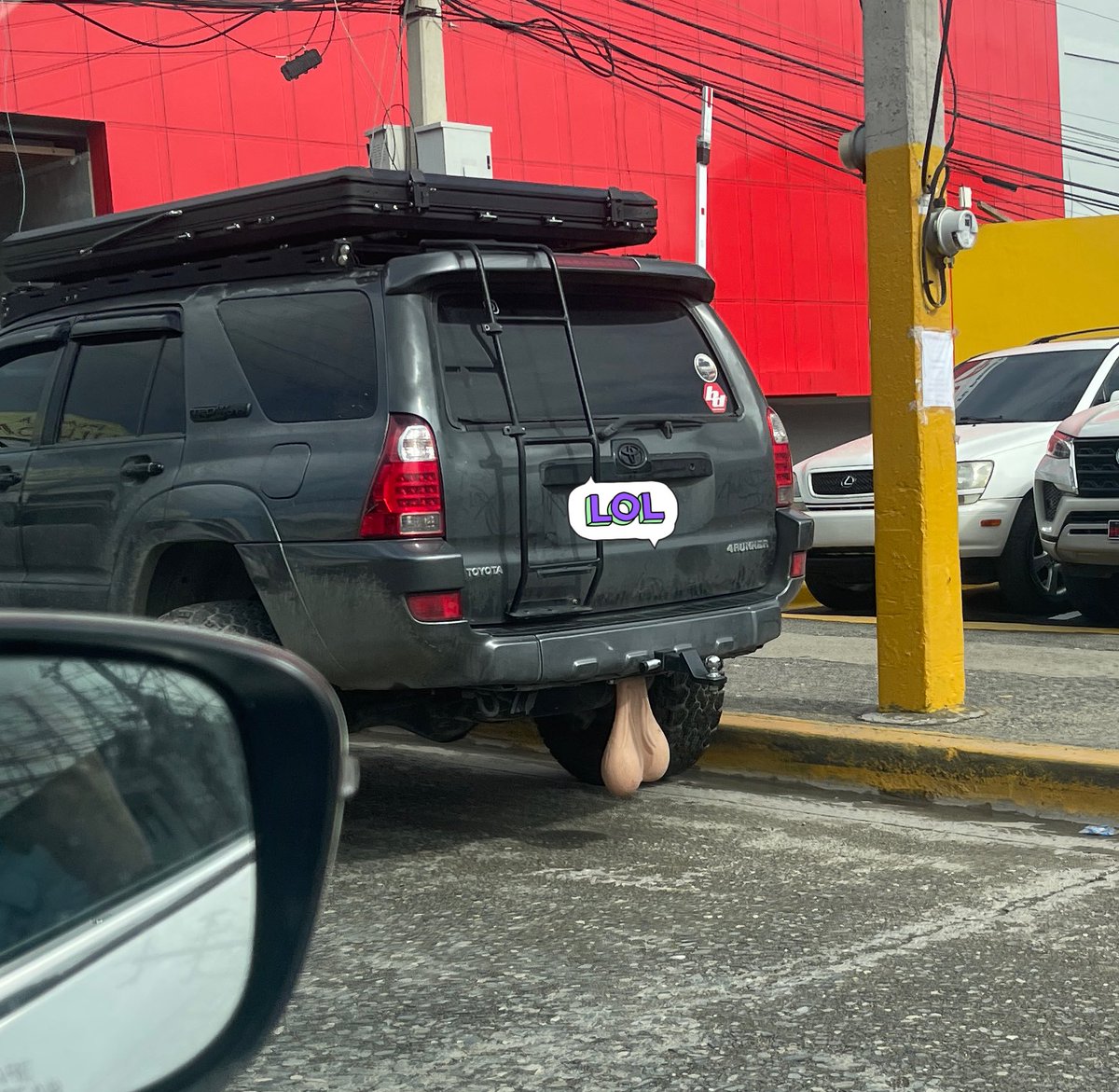 Que Granuja mas engranojada