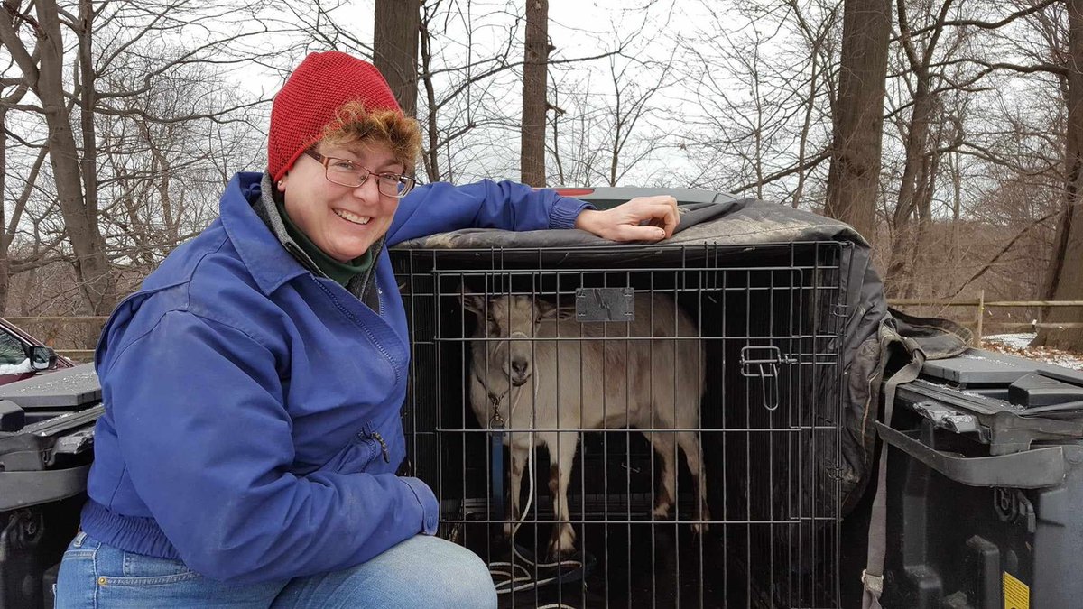 Z3Concepts's tweet photo. Z3 Companion: Behind every great business are even better employees - behind every great employee are loyal companions!  Z3's own Heidi Zuck never lacks in the companion department, with a farm of love - Especially at Zuck Farms Stables (https://t.co/bmnFIvwcBp) https://t.co/otdkA8MNC0