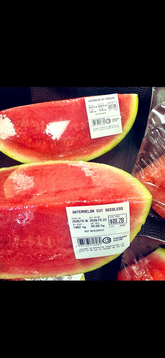 Moon Jay 🚀 🇨🇦 tweet media