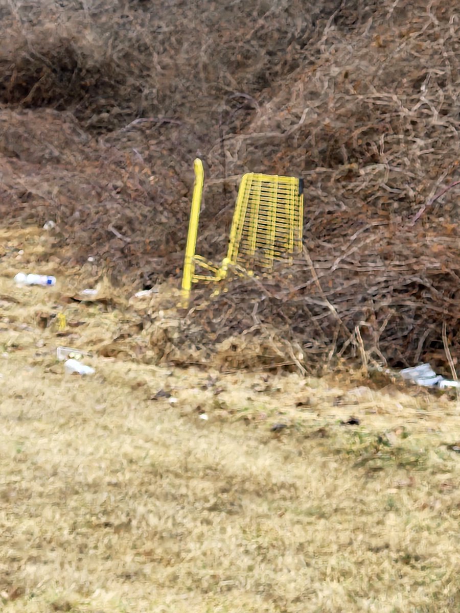 PPD 7th District tweet media