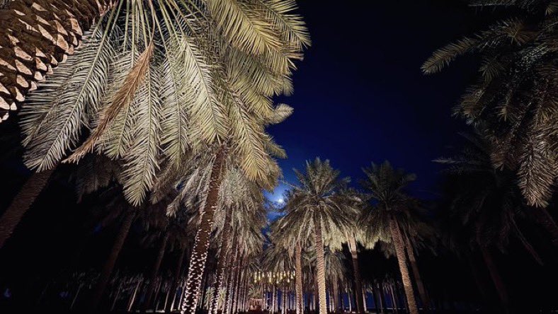 AlQassim Pinterest tweet media