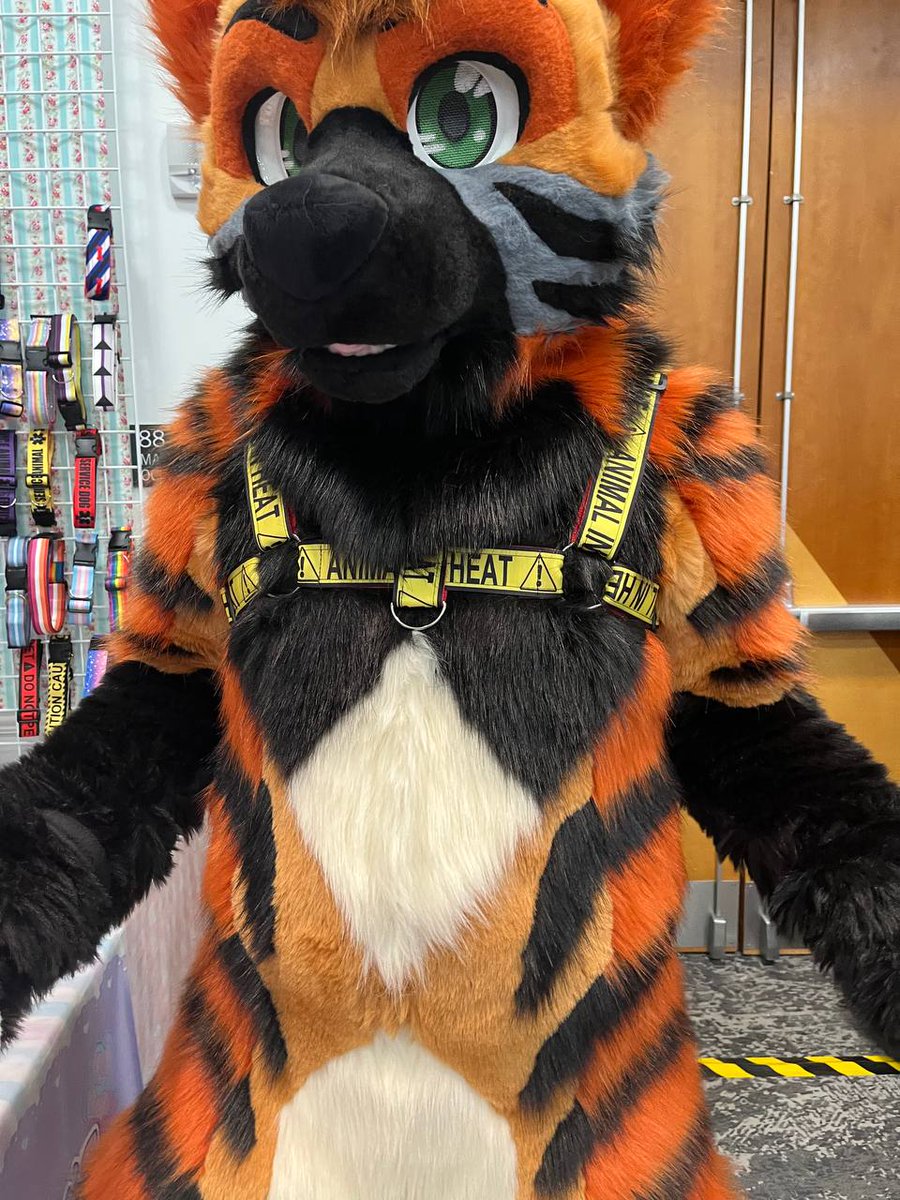 🥥Tango Bloom🌴➡️Papa Barks tweet media