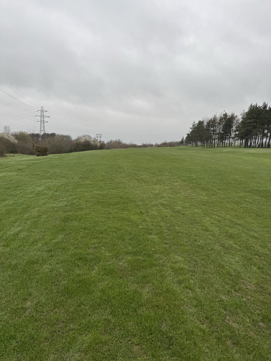 Dave Carnell tweet media