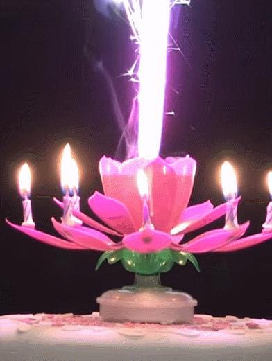 damn_183's tweet photo. 🪷 Lotus Birthday Candle
A magical surprise for birthdays! Once lit, it automatically blooms into a beautiful lotus while playing music, creating unforgettable moments. https://t.co/gH8MkvK4AX