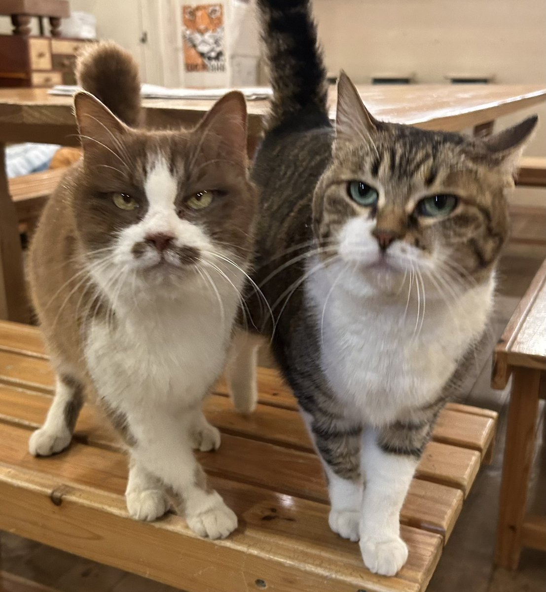 3070日。うにゃうにゃステップ🕺