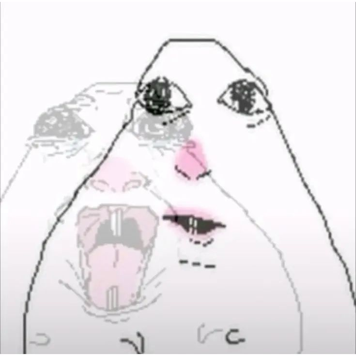 MattyDoro tweet media