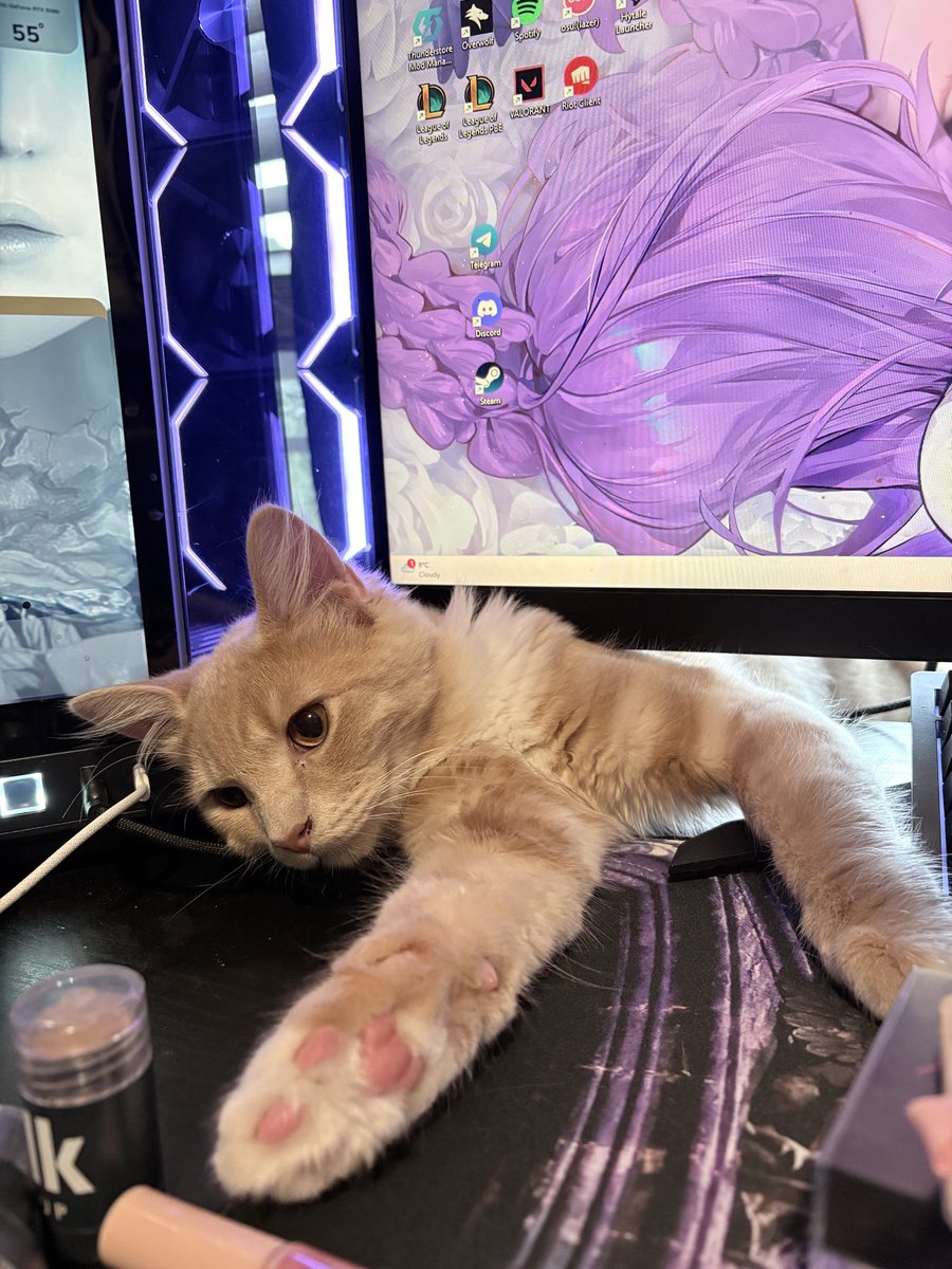 fefe💜🖤 tweet media