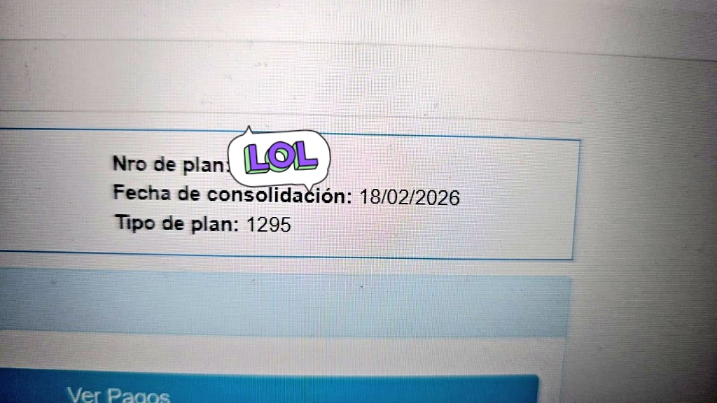 Erica Faselli tweet media