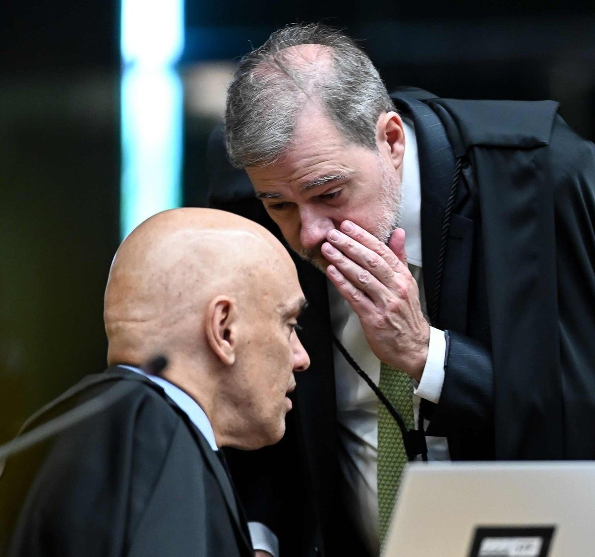 Fernanda Salles tweet media