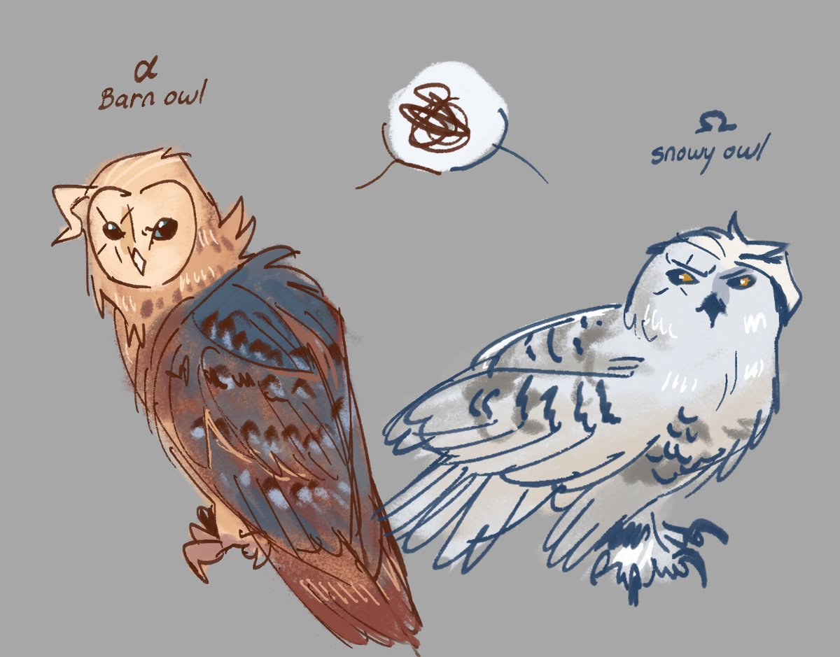 Wooms 🦝(COMMS OPEN) tweet media