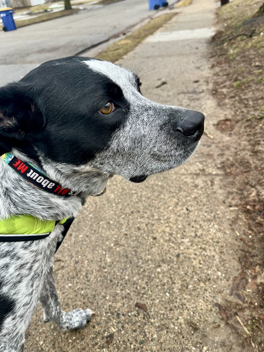 Anthony Spencer tweet media