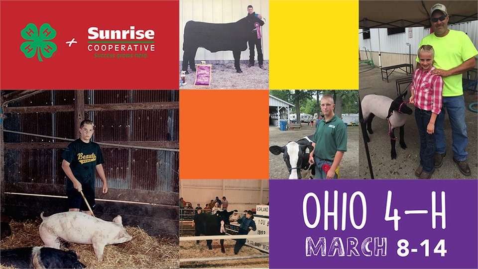 SunriseCoopOH's tweet photo. ✨ It’s Ohio 4‑H Week! ✨ Nearly 200,000 youth across #Ohio grow, learn, and lead through #4H programs each year. Grateful for our amazing #Ohio4H professionals, volunteers, and supporters who make it all possible. #Ohio4HWeek #4HGrowsHere #YouthInAg #SunriseCooperative https://t.co/CJ610yaDeL