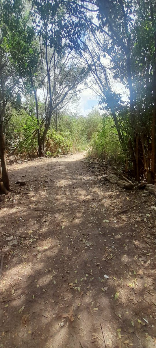 pibe al palo 🍆 🍑 tweet media