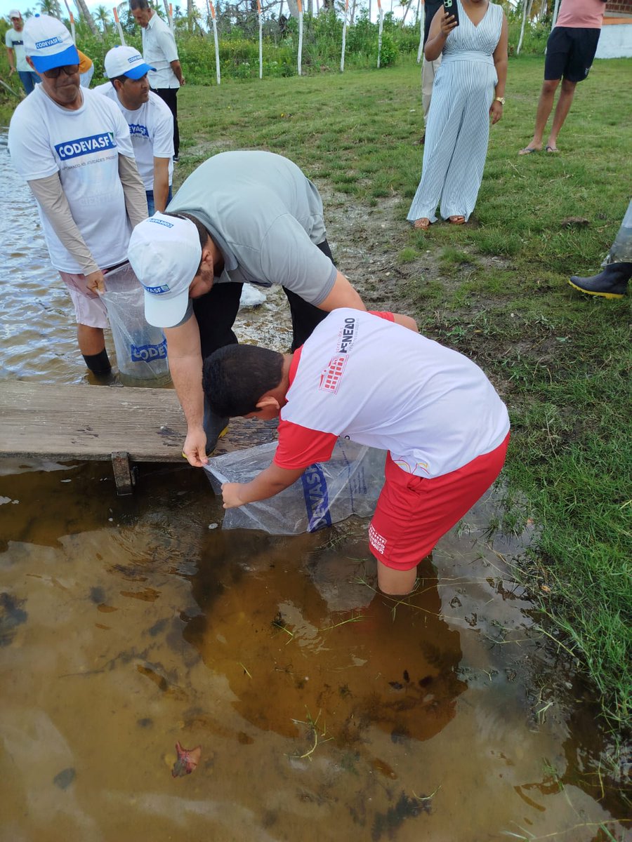 Codevasf tweet media