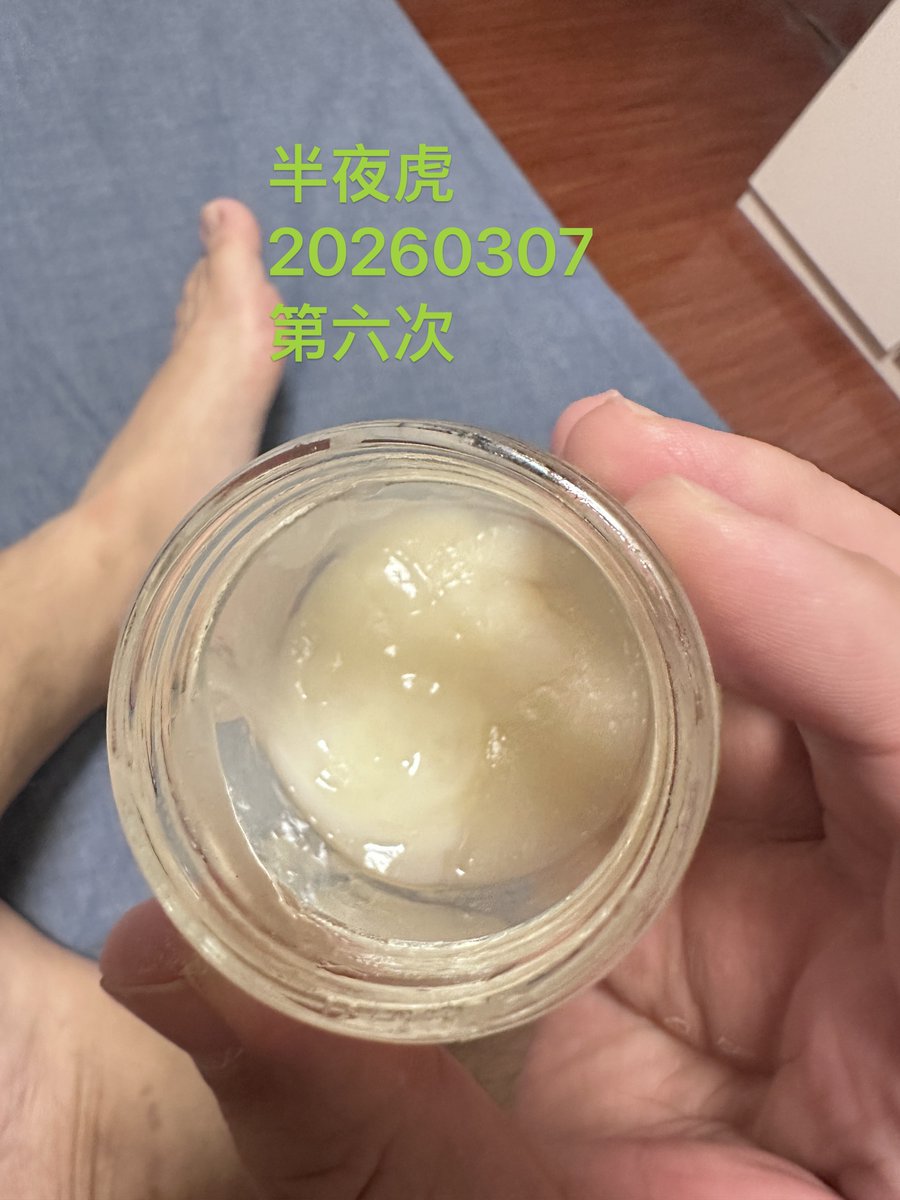 半夜虎 tweet media