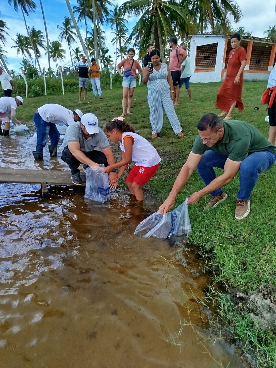 Codevasf tweet media