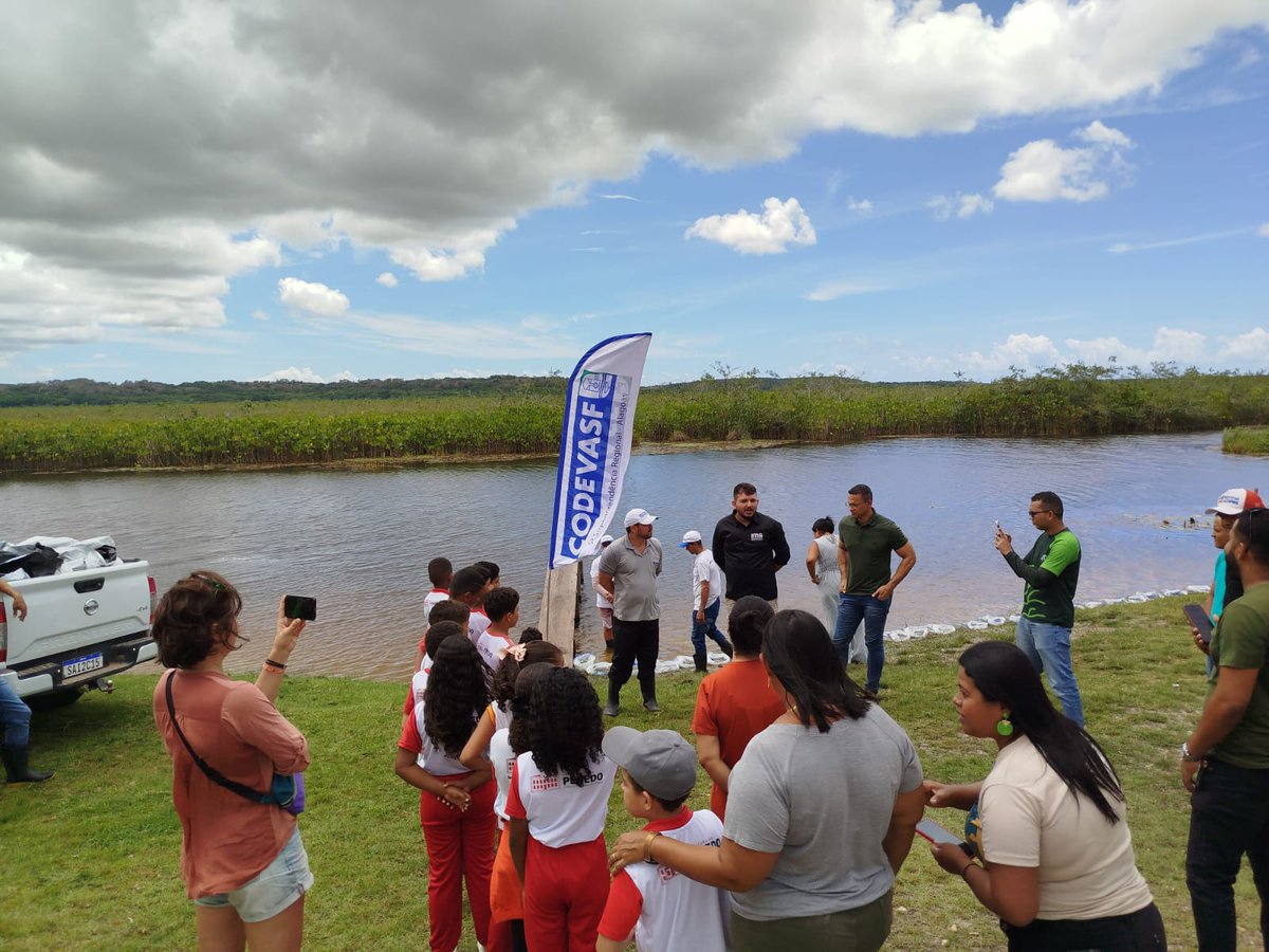 Codevasf tweet media