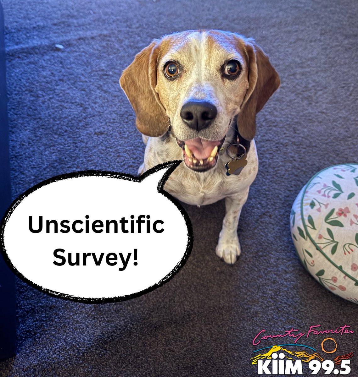 Whatcha Doin’ This Weekend?