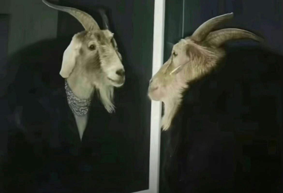 luchx♪®‼️ 。⋆☂ ̊ 💤🐧 tweet media