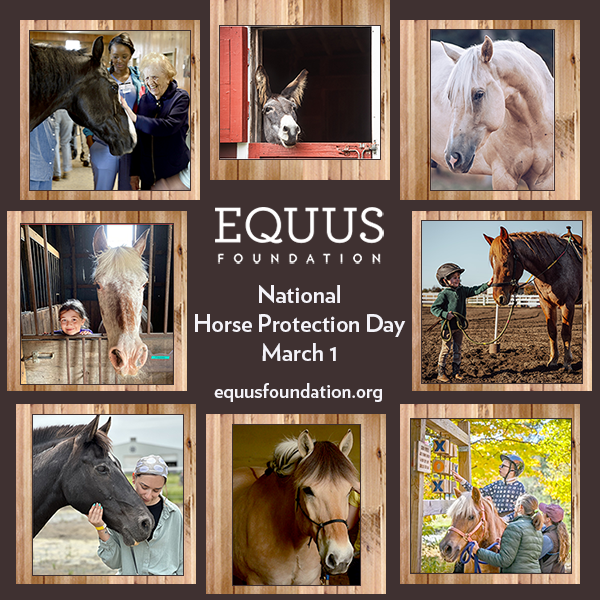 Washington International Horse Show tweet media