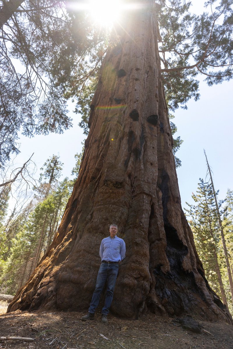 Rep. Scott Peters tweet media