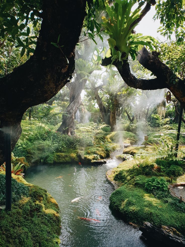 Chiang Mai, Thailand