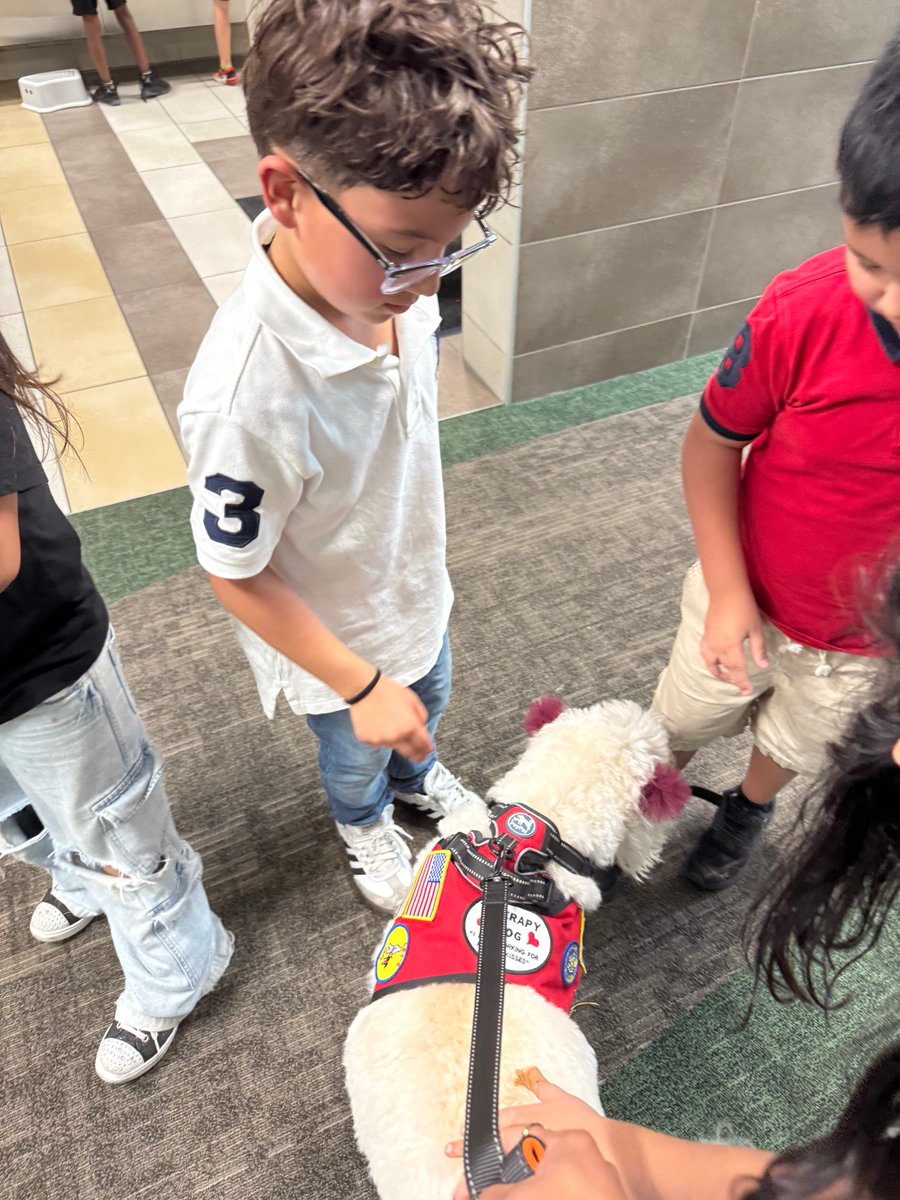 DoddieLilly's tweet photo. Canine counselor visits are a pawsome 🐾 experience for our @humbleisd_ce bulldogs! ❤️🚂💙 https://t.co/HInNyHYBVv
