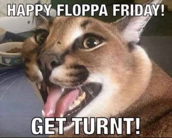 Gregory Flops tweet media