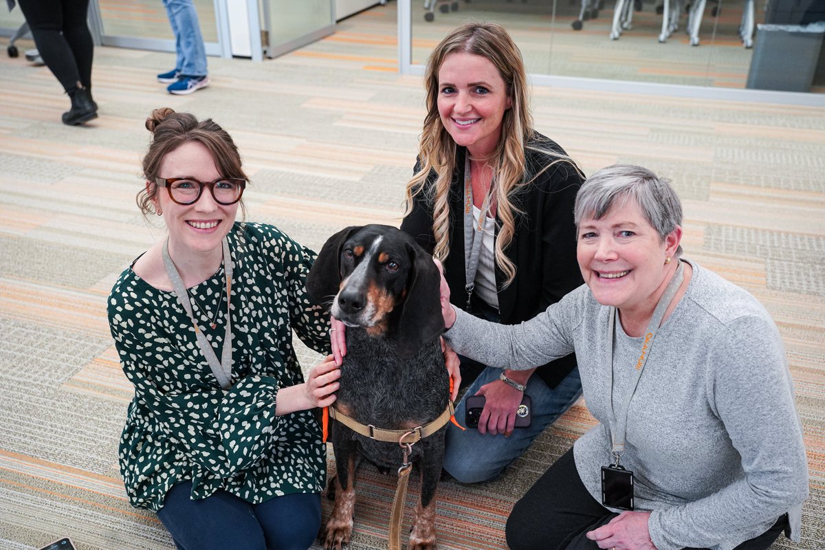 UT System News tweet media