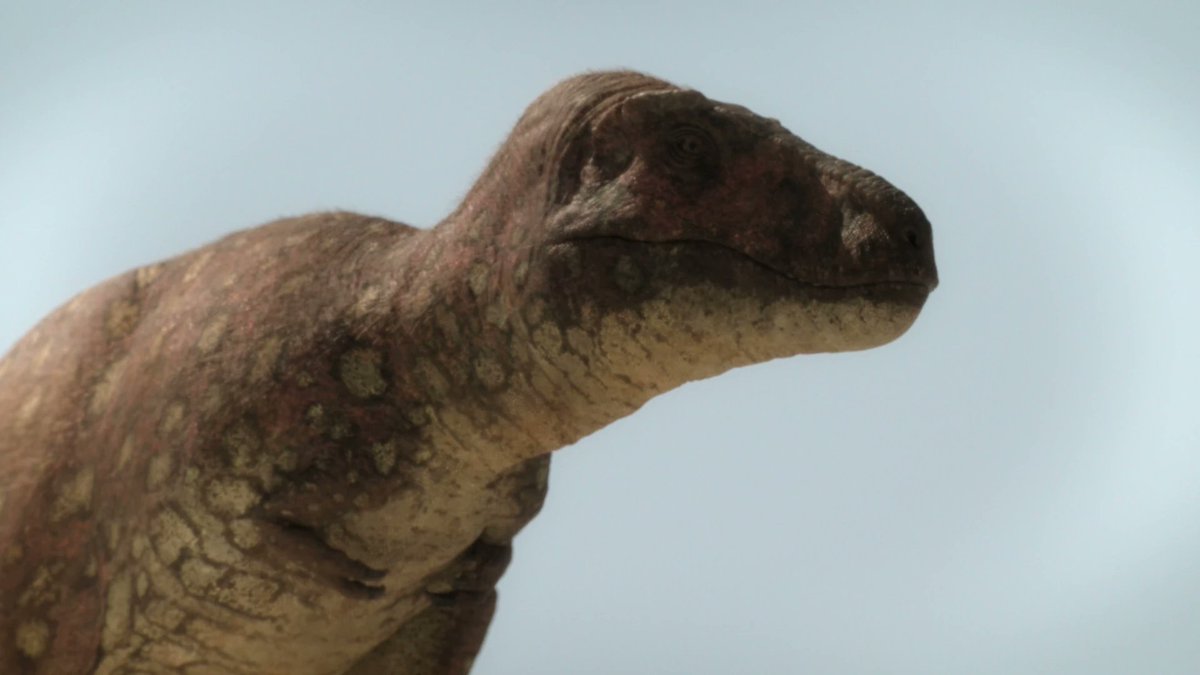 Godzill60740717's tweet photo. Tarbosaurus bataar - alarming lizard https://t.co/u2Dn7AqNJL