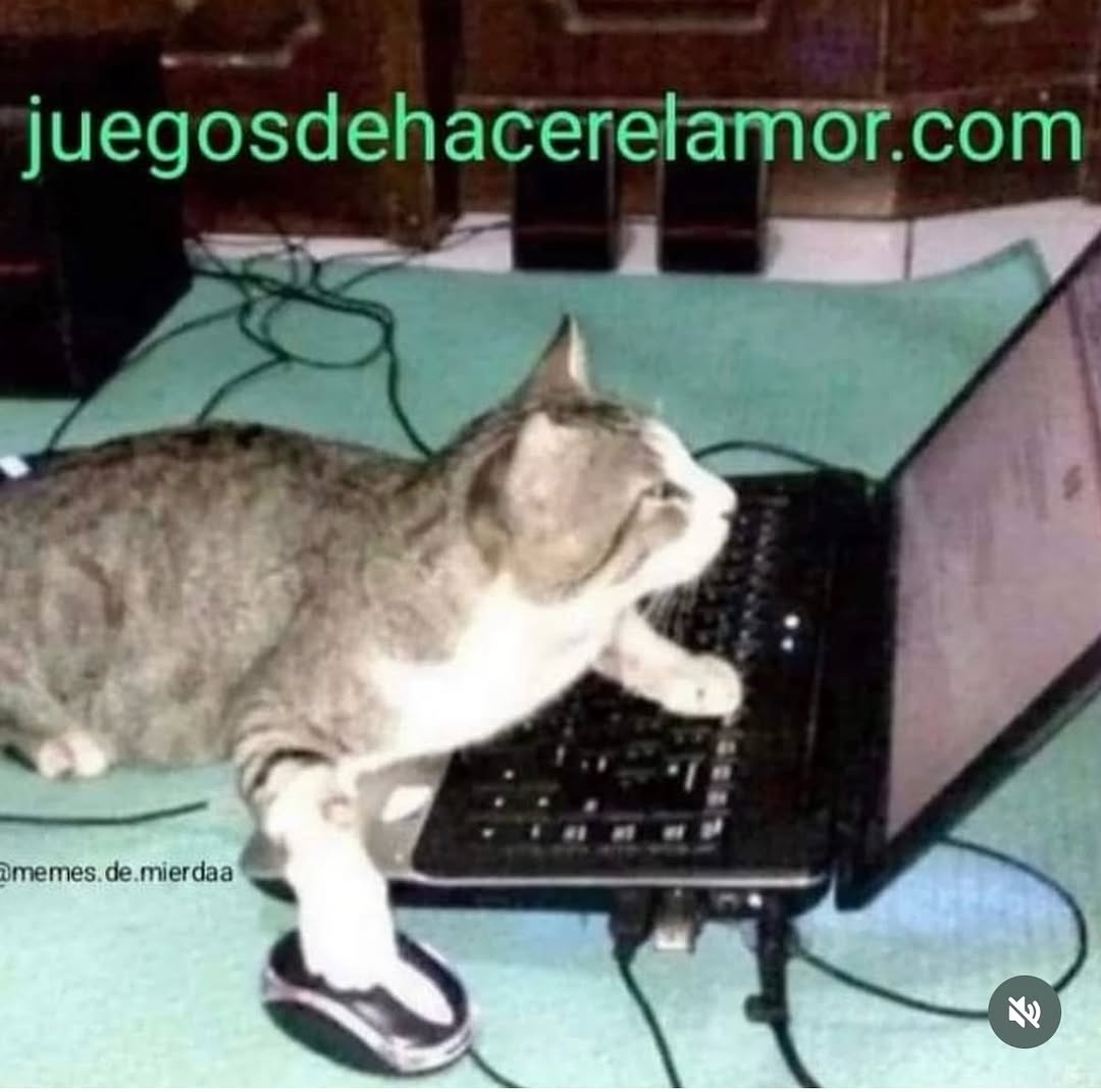 jugodenaranja9 tweet media