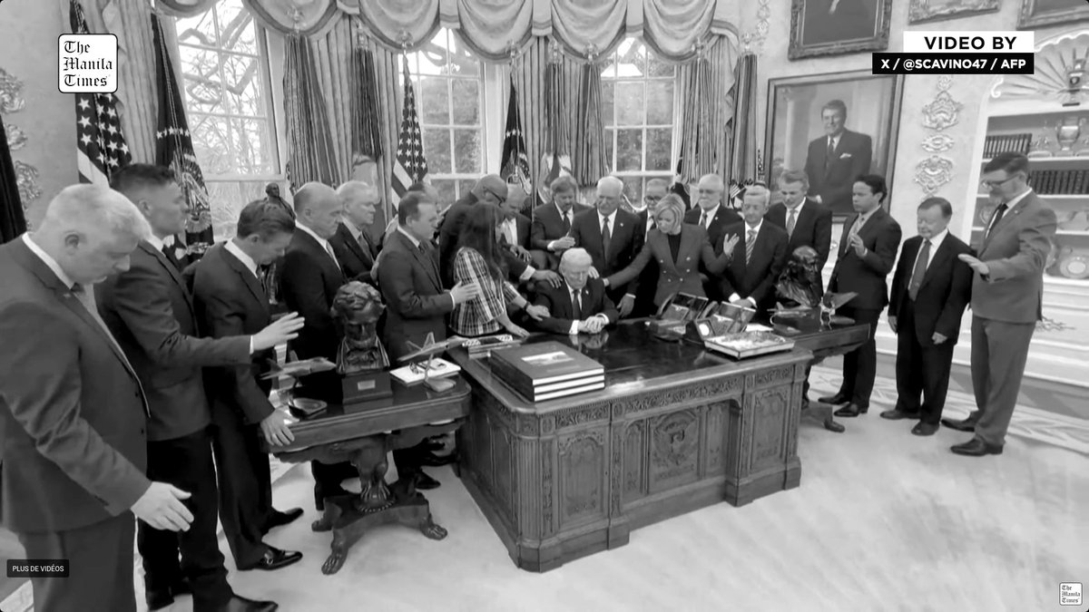 Poulet volant tweet media