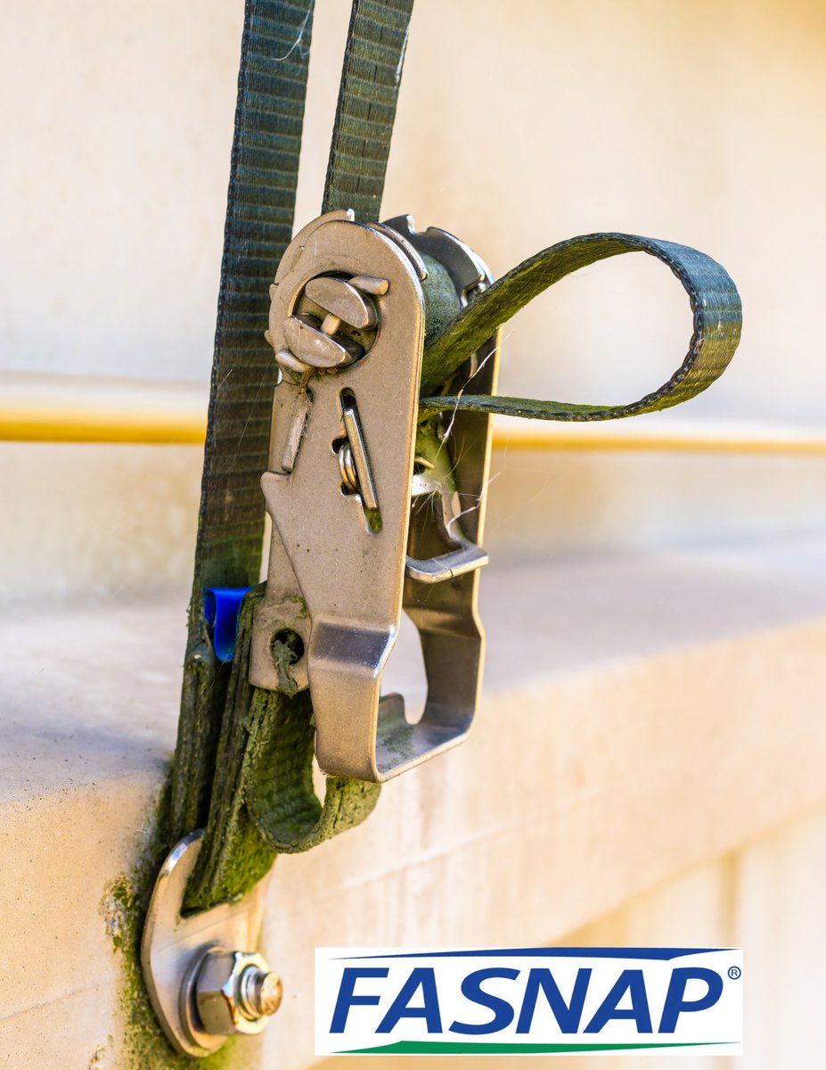 Fasnap Corp tweet media