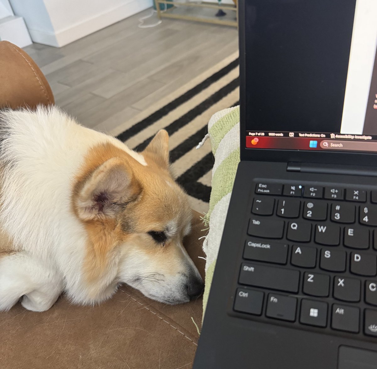 Eric Wallerstein tweet media