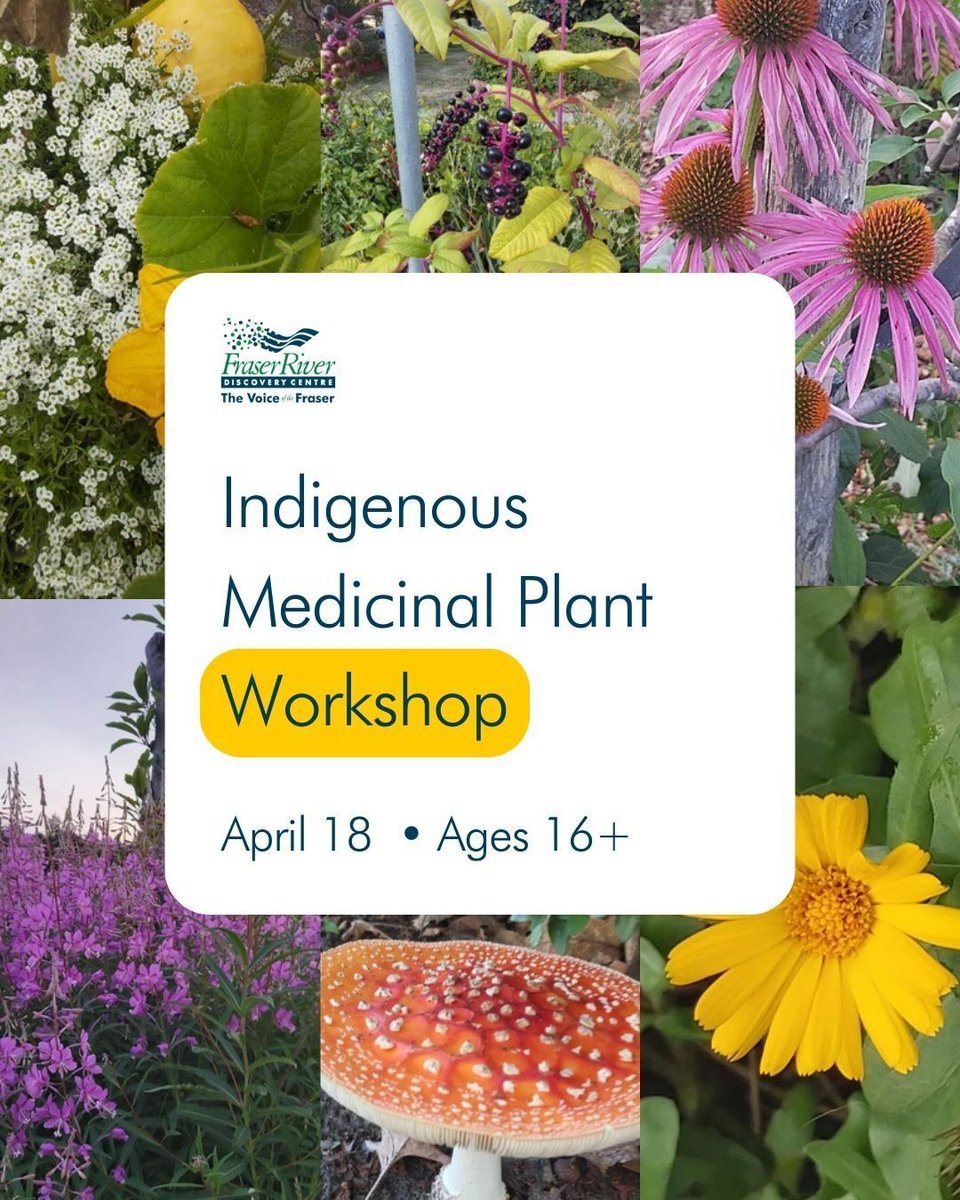 FraserRiverDiscovery tweet media