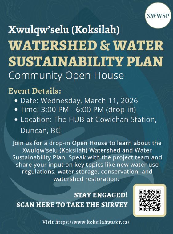 Donegal Wilson tweet media