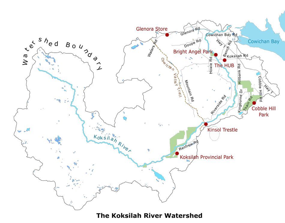 Donegal Wilson tweet media