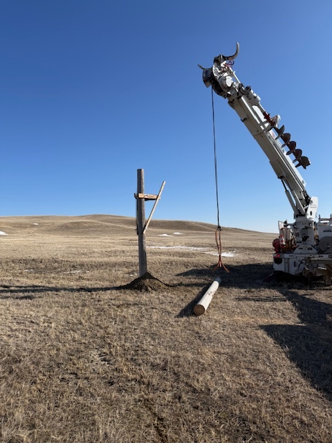 Alberta Conservation tweet media