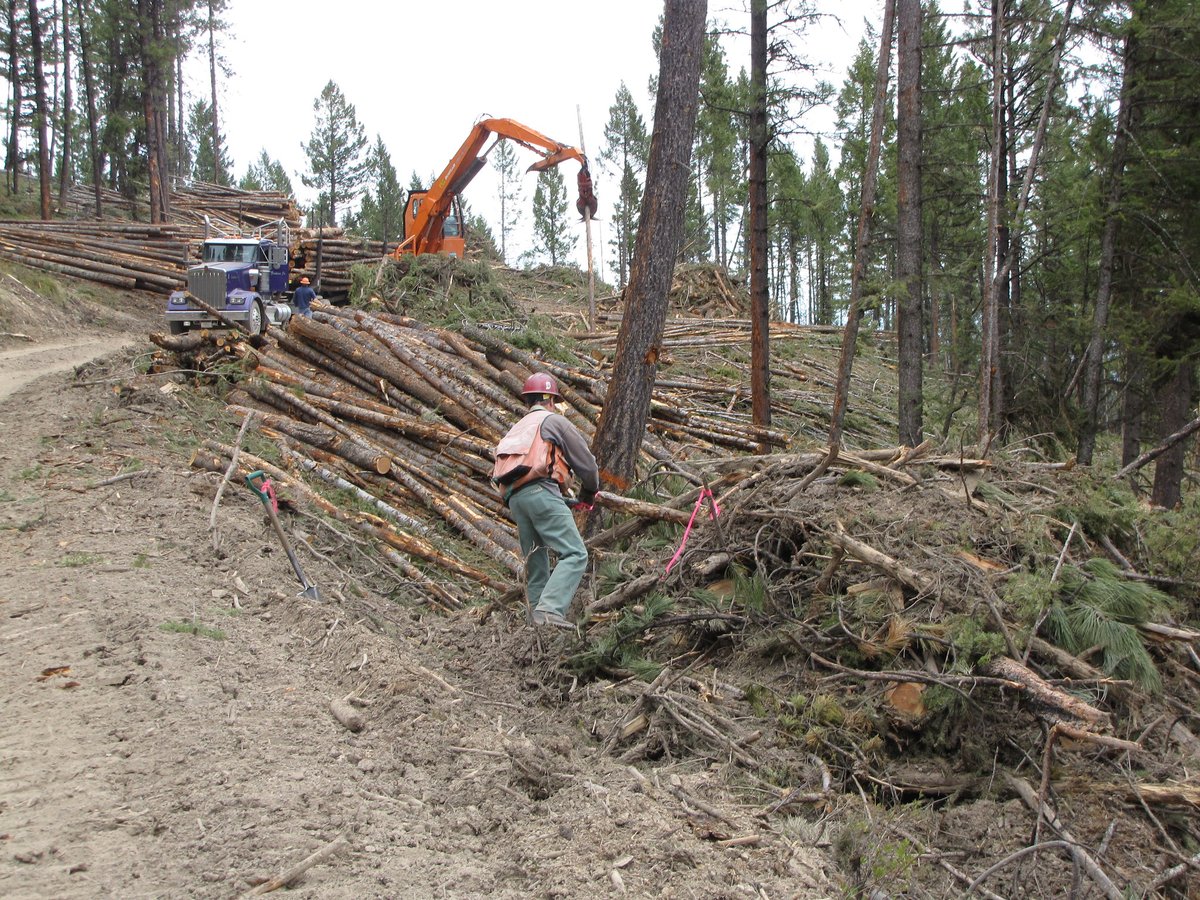 USDA Forest Service tweet media