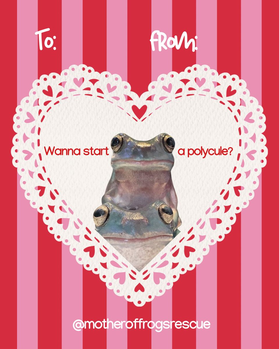 Frog lovers Club (@froglovers_club) / Posts / X