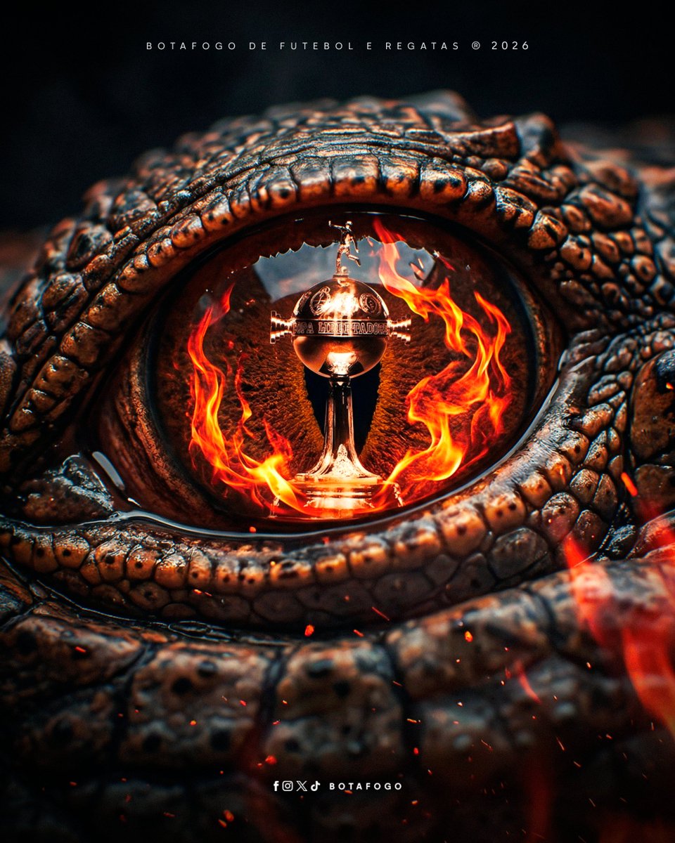 Botafogo F.R. tweet media