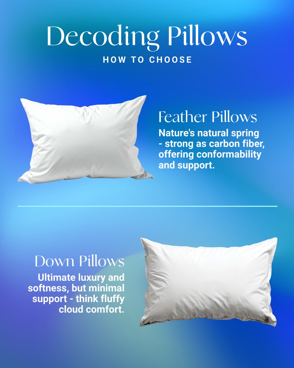 Better Sleep Council tweet media