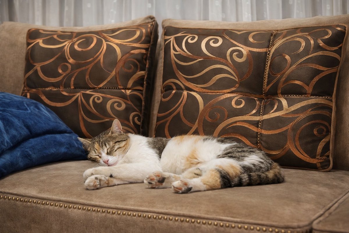 Boncuğuma bir kalp alırım güzel kızım benim🫶

#Guendem 
#geceyebirsöz 
#GeceyeNotum 
#haftasonu