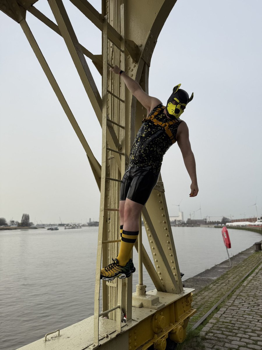 Zyron 🔜 MRW, Folsom Europe, MOG 2k tweet media