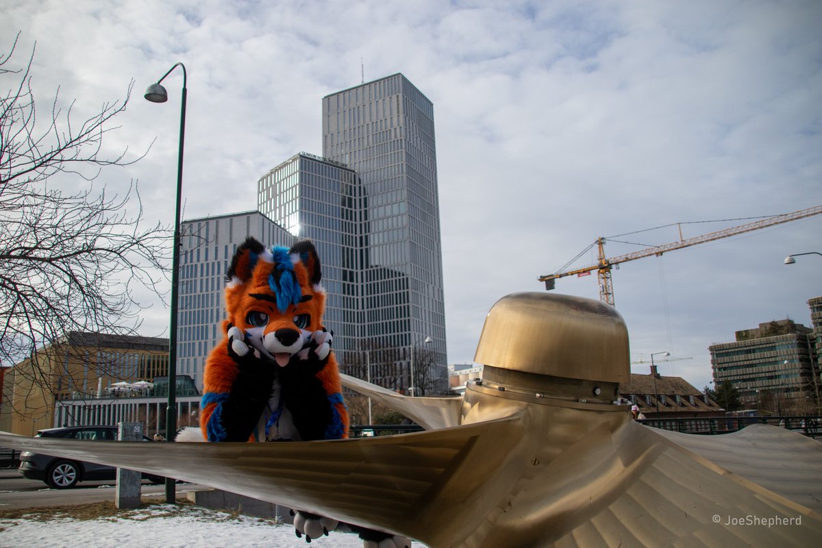 Fluffyfox09 tweet media