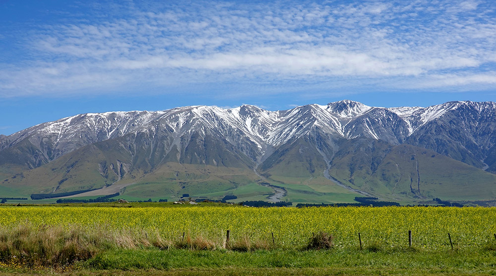 Graham Watson tweet media