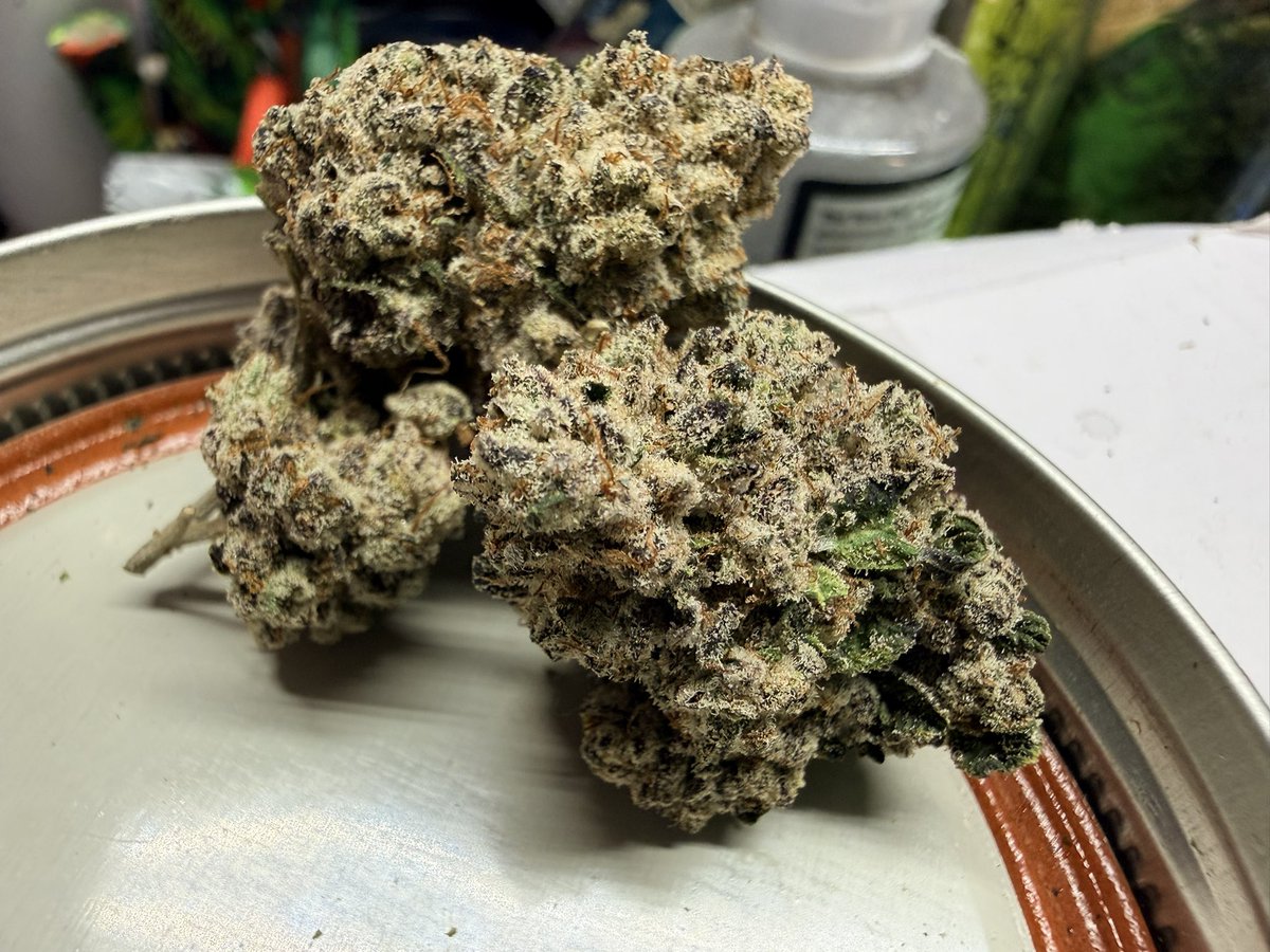 GurrillaGrowman tweet media