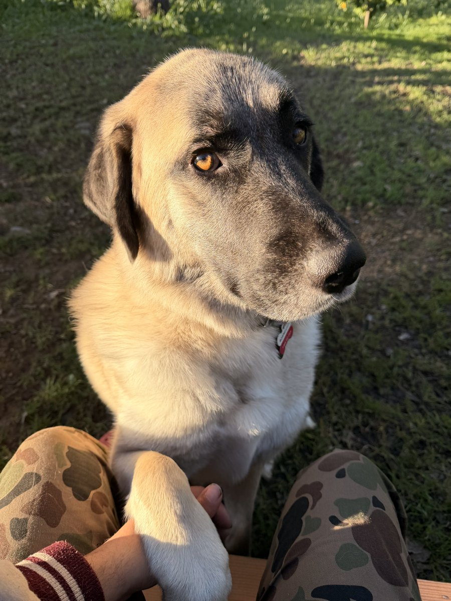 Oatmeal 🥣 tweet media