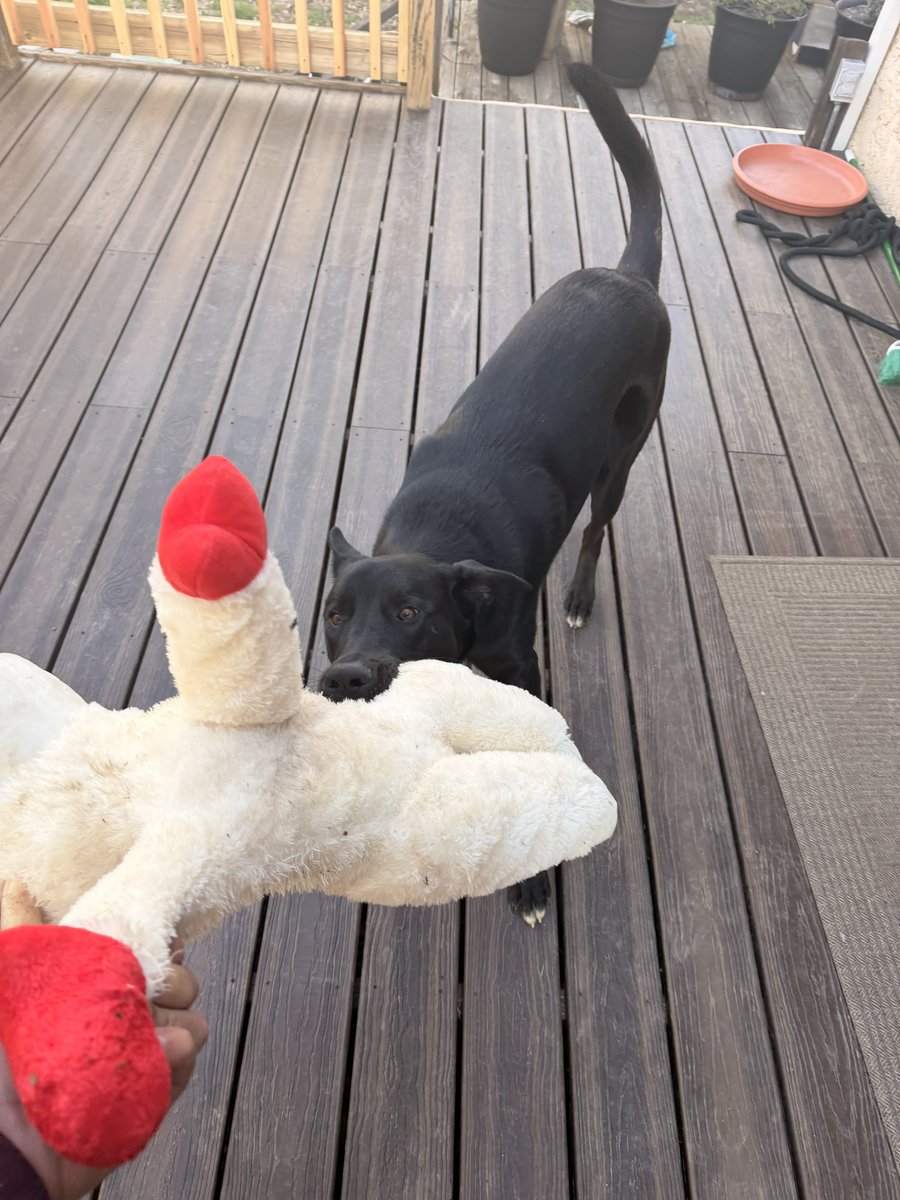 Oatmeal 🥣 tweet media