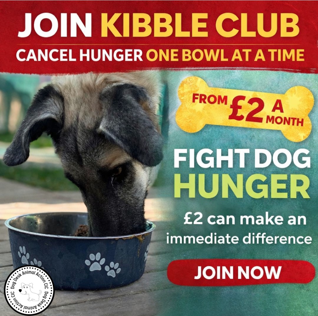 The dogs rely on Kibble Club for their food.
From £2 a month.
1⃣4⃣5⃣ people needed.

Food bowls filled.
Hunger cancelled.

Join here ⬇️
 donorbox.org/kibble-club 🐾